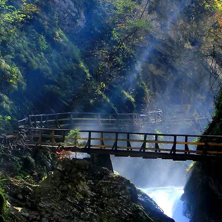 Appartement Apartment Natur