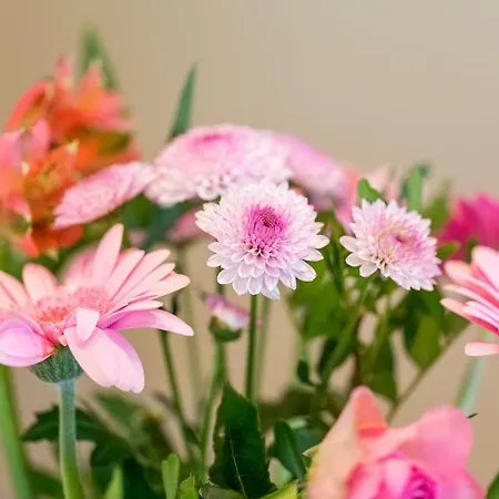 Apartment Natur Appartement