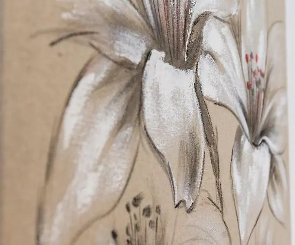 Apartment Natur Apartma