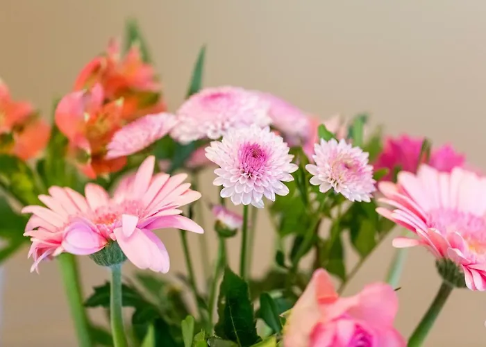 纳图尔公寓 公寓